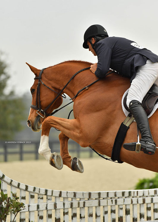 DANIEL GEITNER LANDS DOUBLE VICTORY IN THE $15,000 UF VETERINARY HOSPITAL 3’ OPEN HUNTER DERBY. 