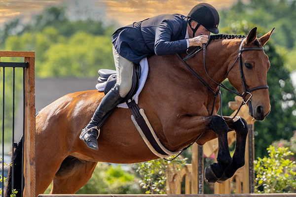 DFG Stables. 