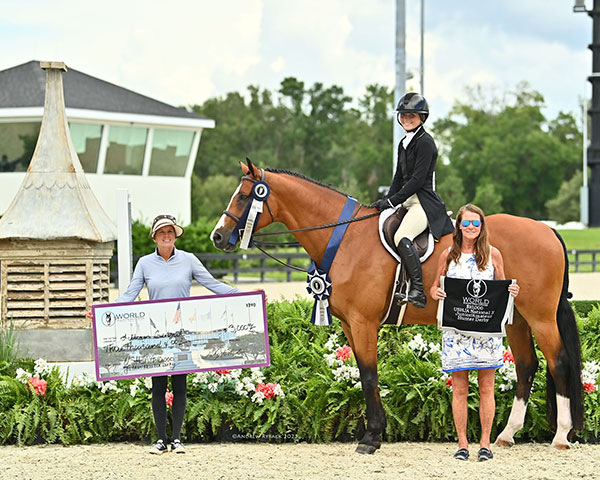 DFG Stables. 